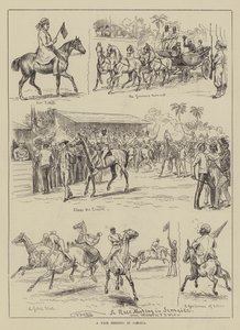 A Race Meeting in Jamaica